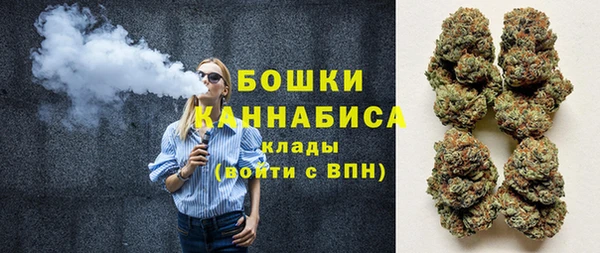 гидра Алексеевка