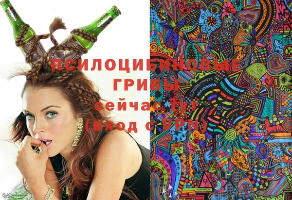 гидра Алексеевка