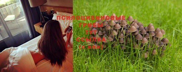 амф Абинск