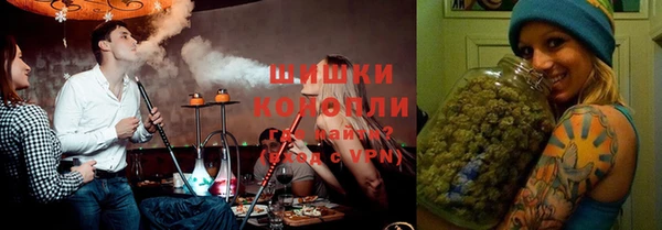прущие грибы Алзамай