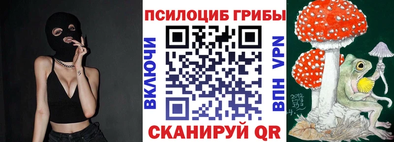 omg как зайти  Домодедово  Галлюциногенные грибы Psilocybe 